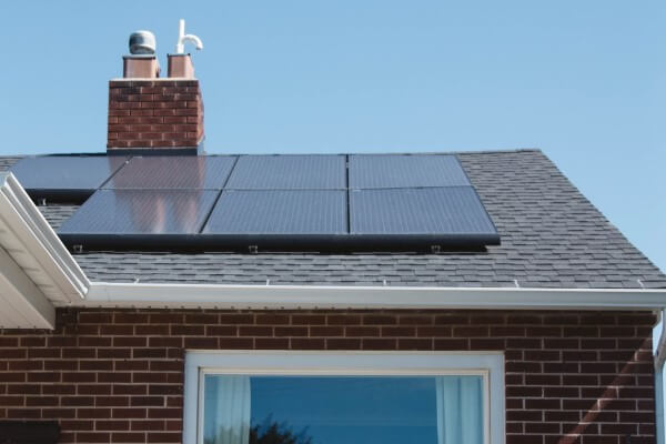 PEST CONTROL POTTERS BAR, Hertfordshire. Services: Solar Panel Bird Proofing. Ensure the Protection of Your Solar Panels with Local Pest Control Ltd's Expert Bird Proofing Services in Potters Bar